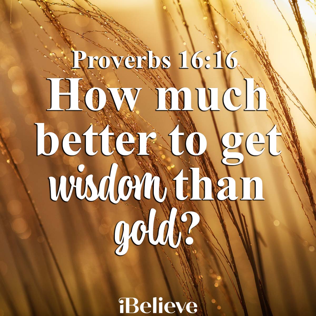 Proverbs 16:16, inspirational image