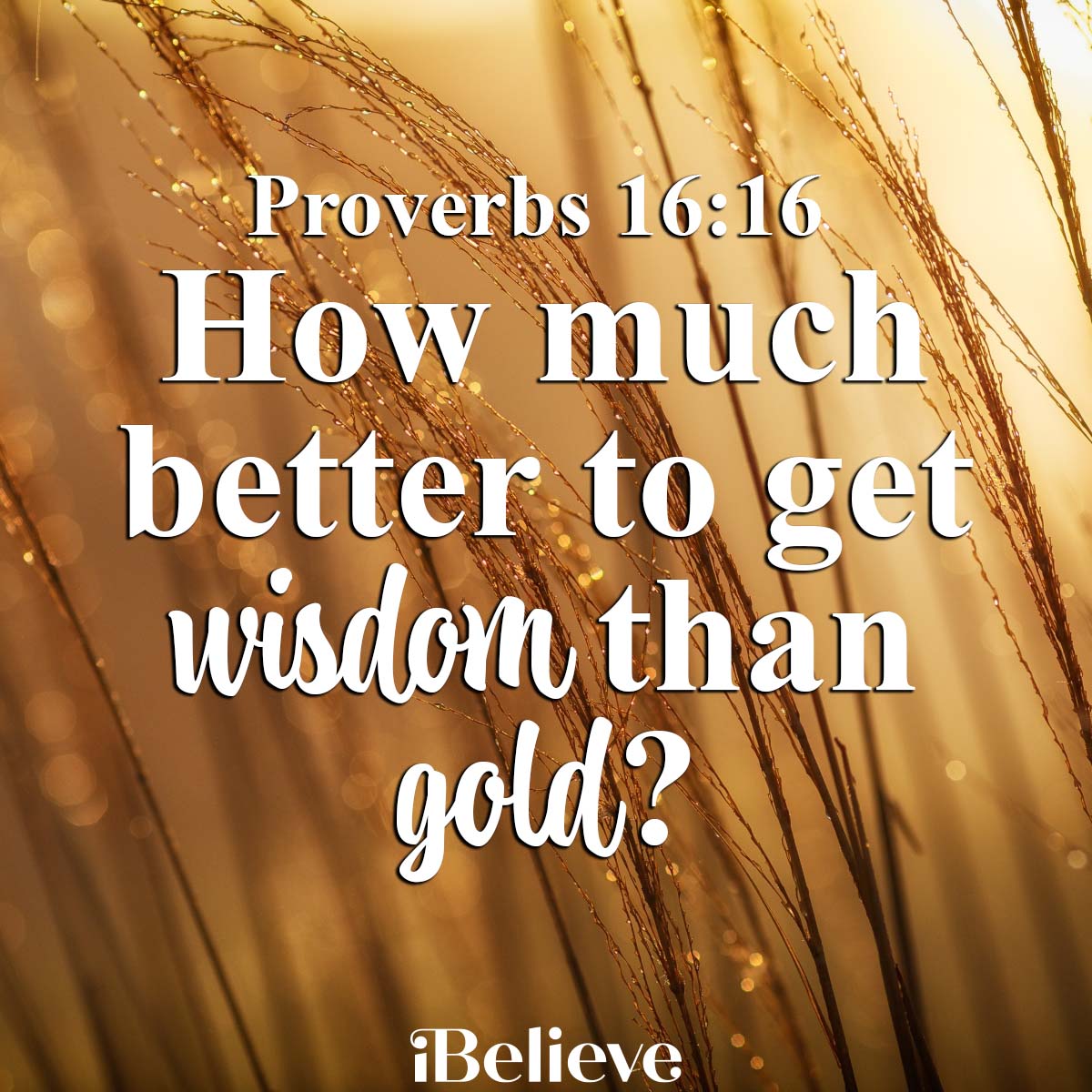 Proverbs 16:16 - Value of wisdom - Faith, Hope & Joy