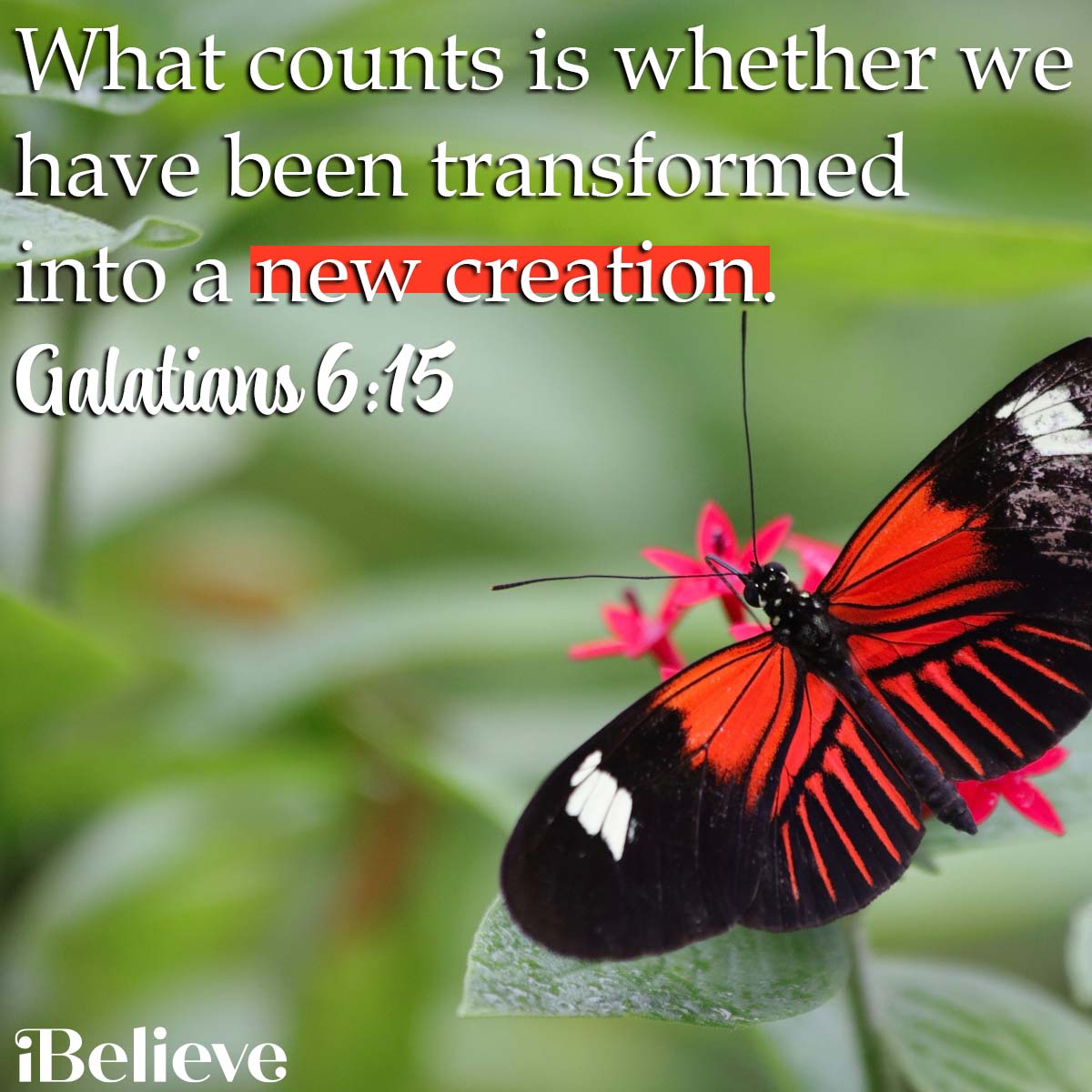 Galatians 6:15, inspirational image