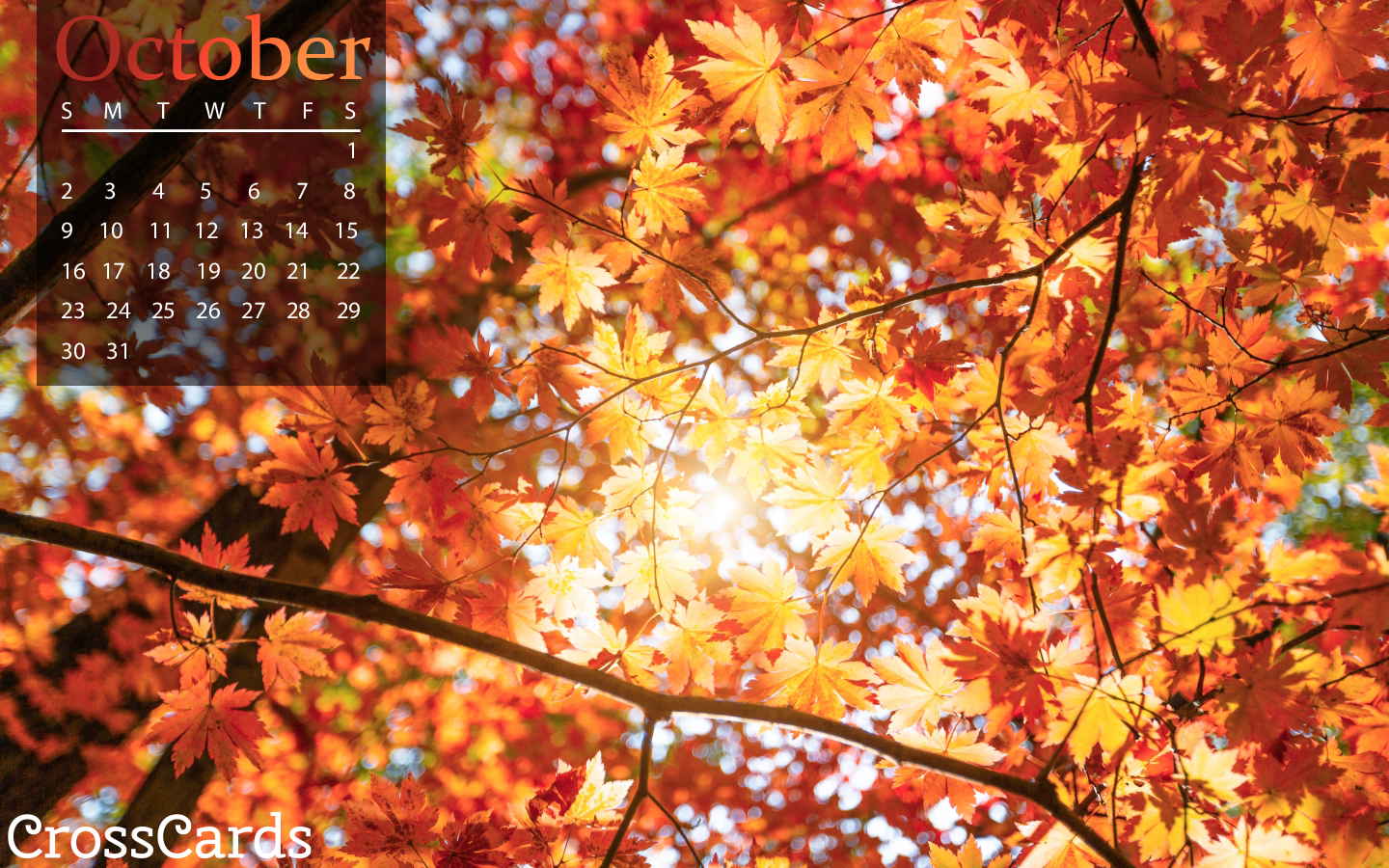 October 2022 - Autumn Leaves mobile phone wallpaper