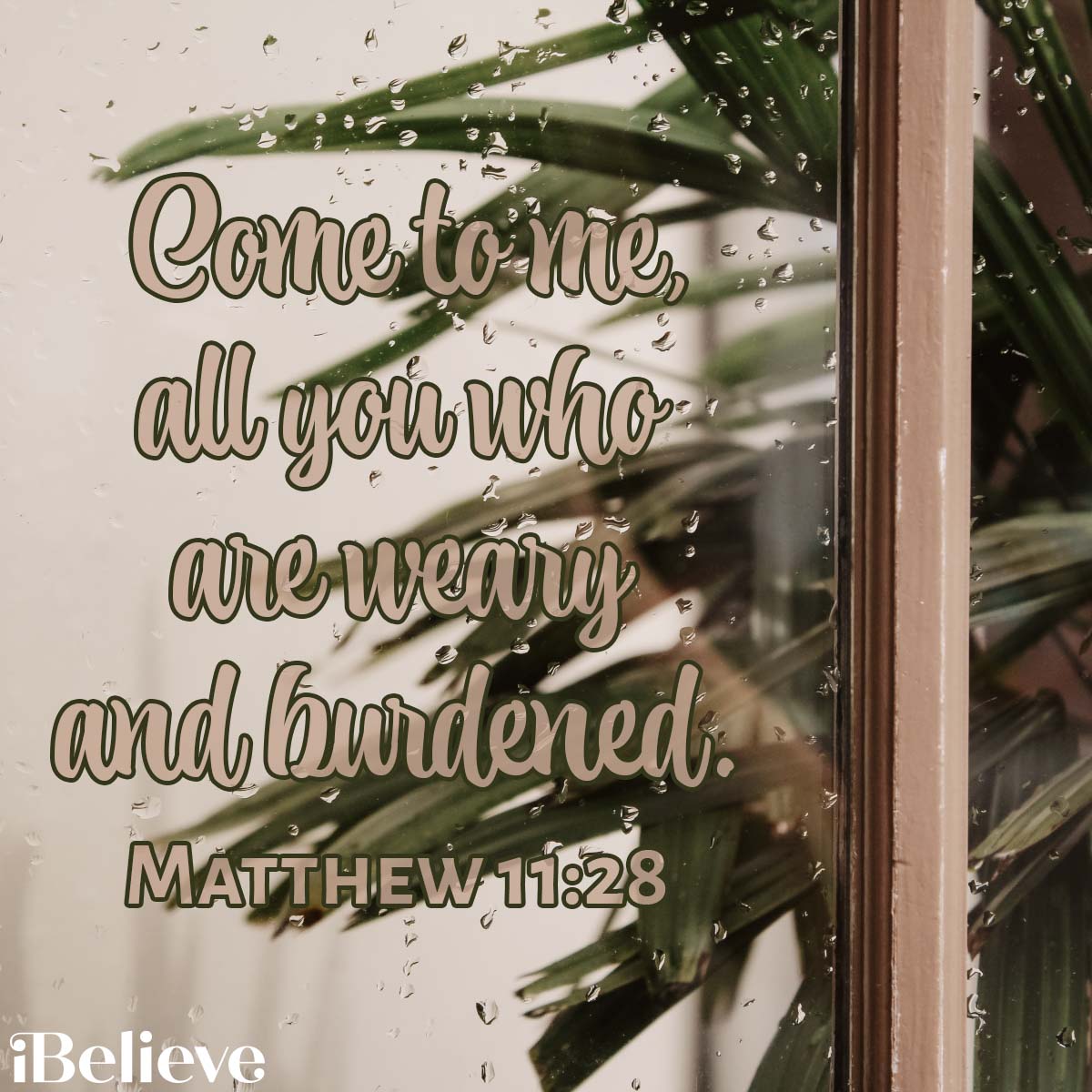 Matt. 11:18