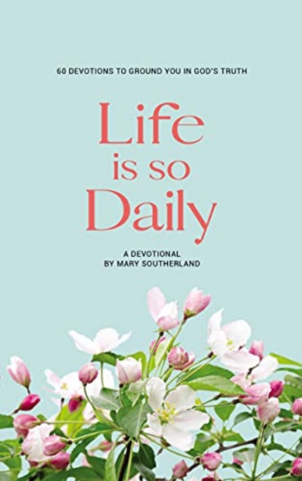 Life Is So Daily book cover