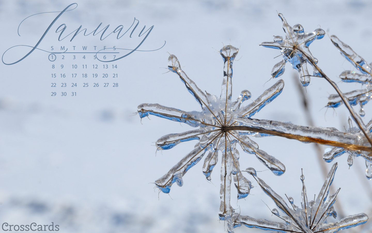 January 2021 calendar wallpapers – 30 FREE designs to choose from!