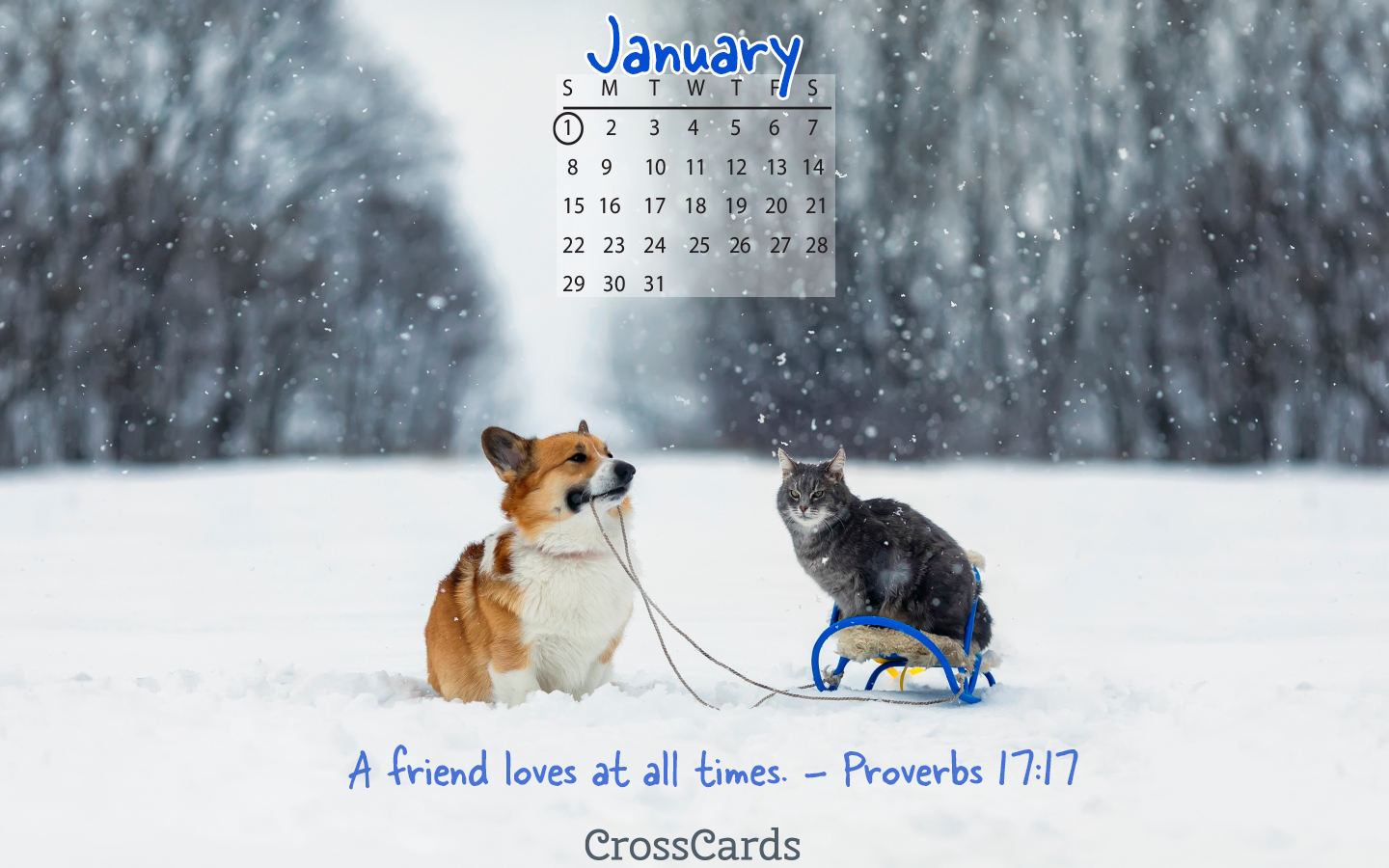 January 2023 - Friends mobile phone wallpaper