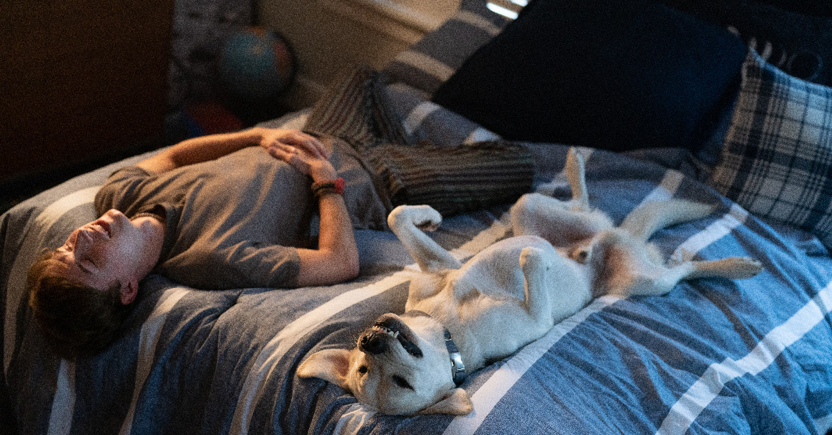 Fielding and his dog sleeping