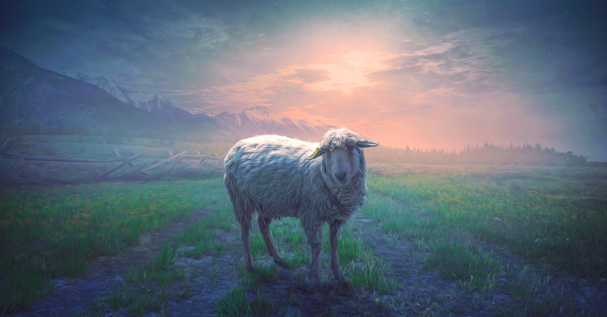 What Is The Meaning Of Psalm 23 And Why Is It Popular 