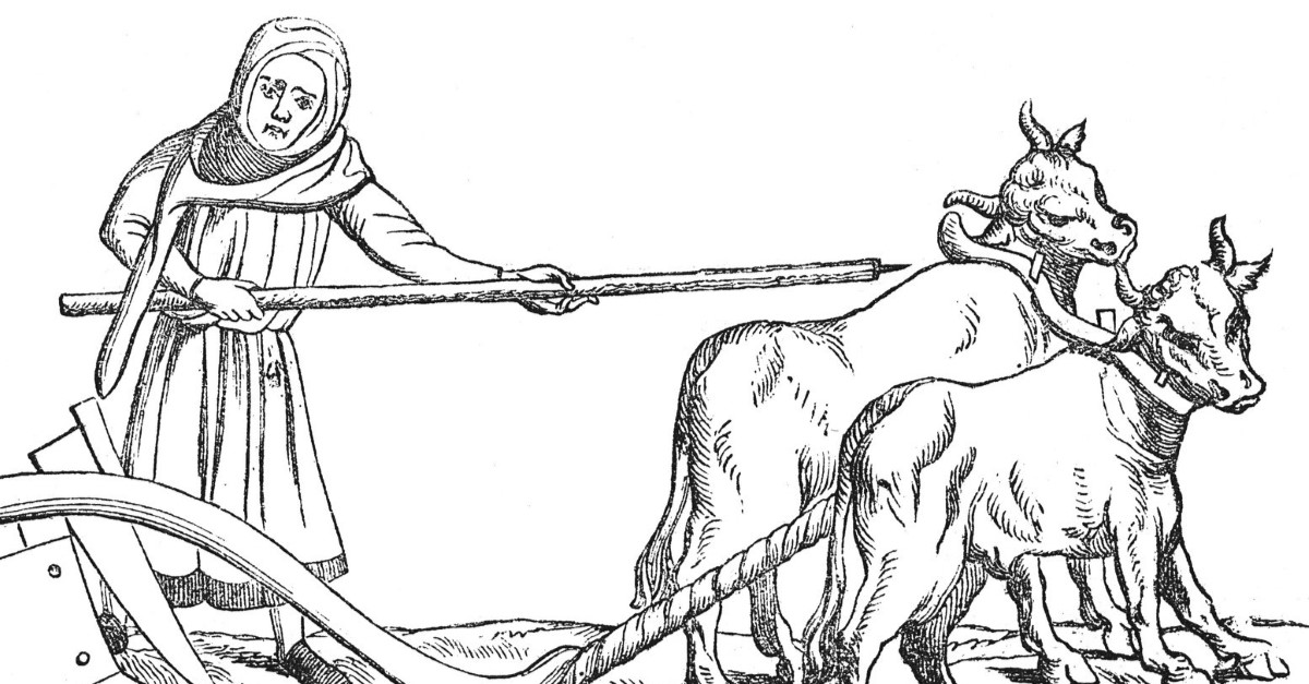 Why Does the Bible Mention the Oxgoad? Christianity com Why Does the Bible Mention the Oxgoad? Christianity com