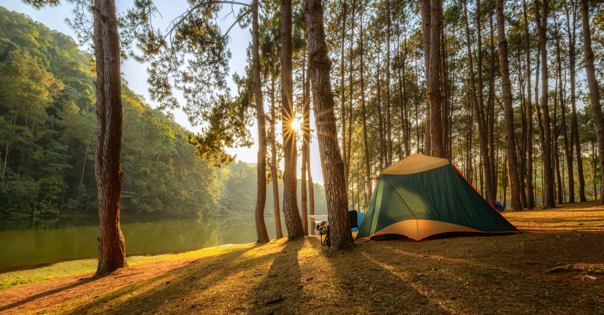 a camp grond, a woman has a new life purpose after a freak accident kills both of her children