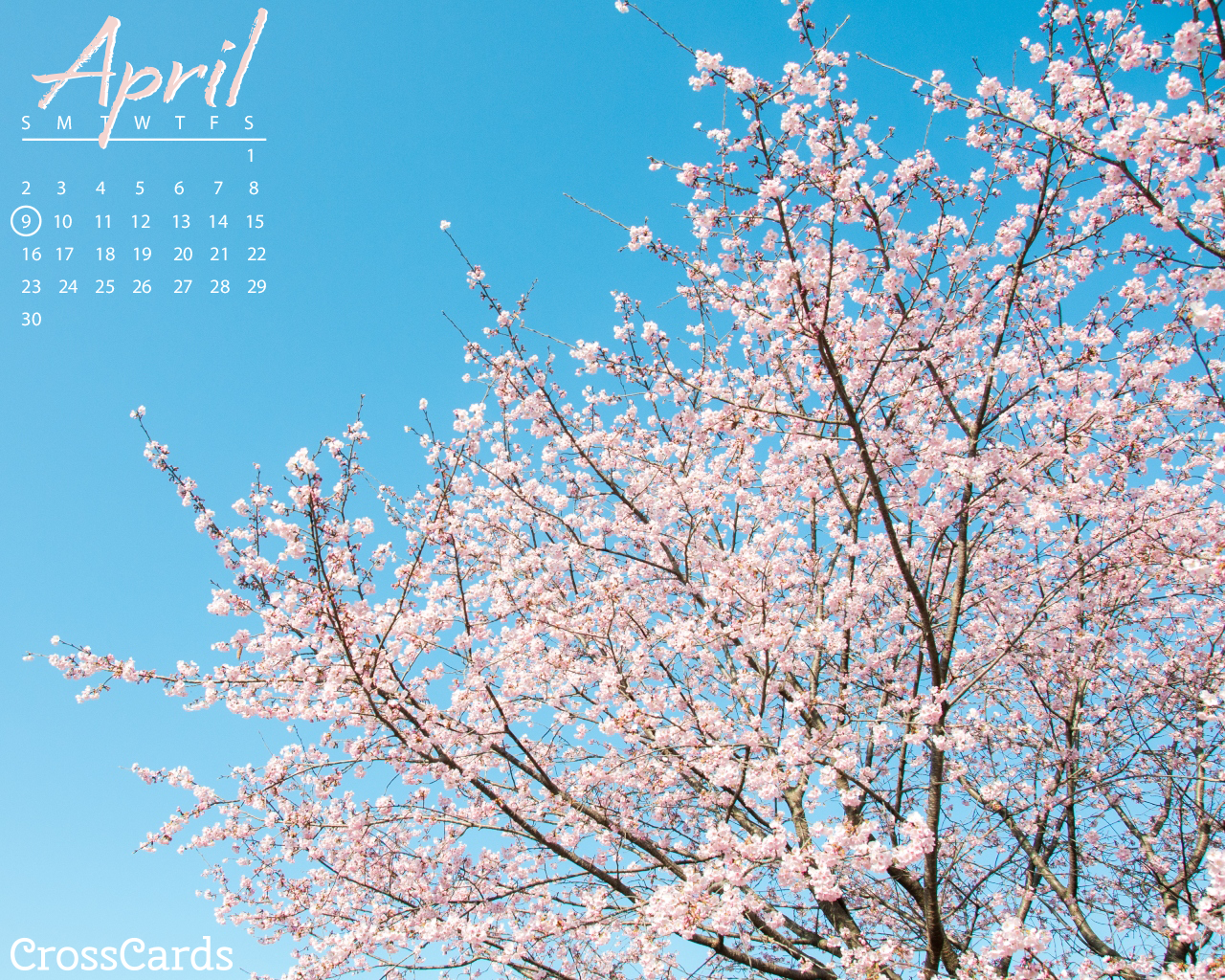 April 2023 - Cherry Blossoms Desktop Calendar- Free April Wallpaper