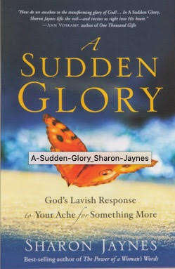 A Sudden Glory book