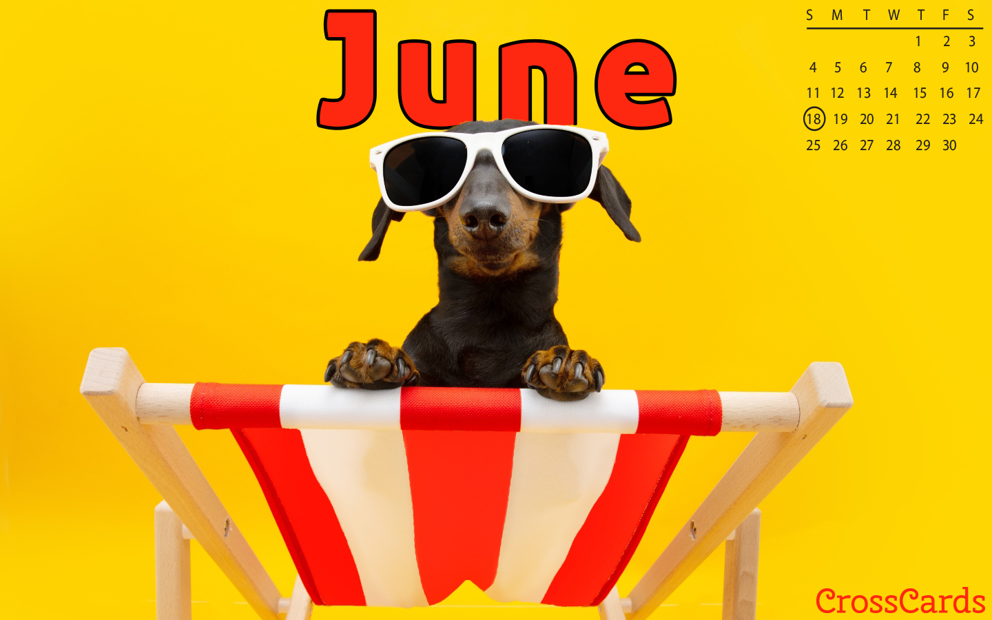 June 2023 - Summer Dog mobile phone wallpaper