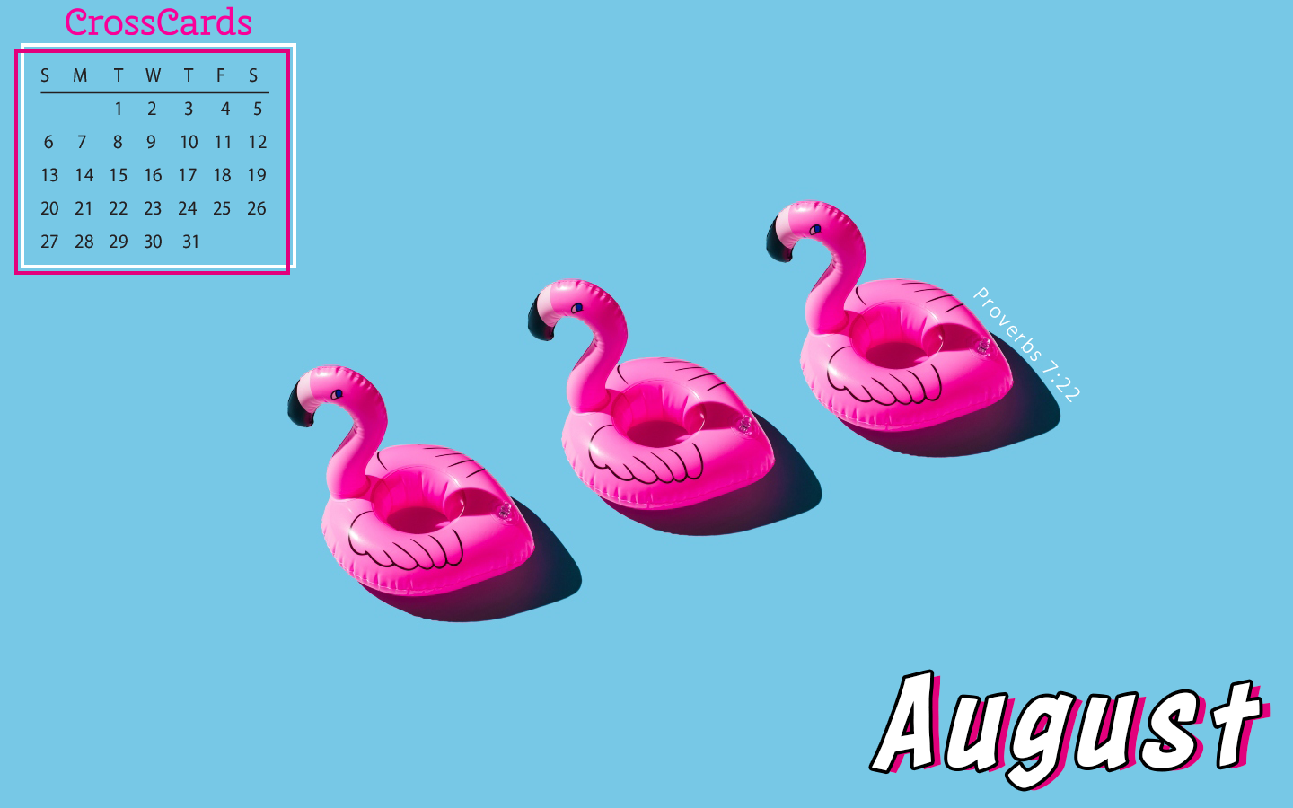 August 2023 - Flamingos mobile phone wallpaper