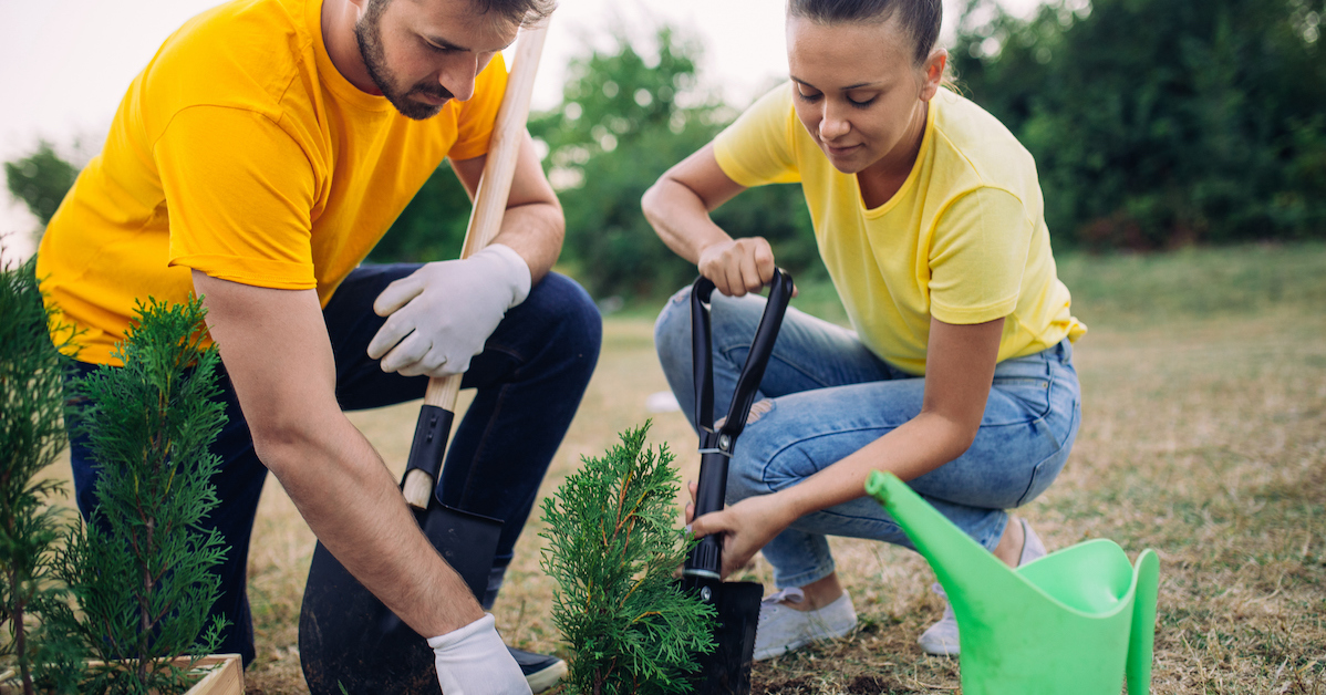 Couple volunteering serving together planting tree