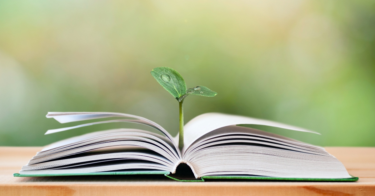 What Does The Land Produced Vegetation Mean 