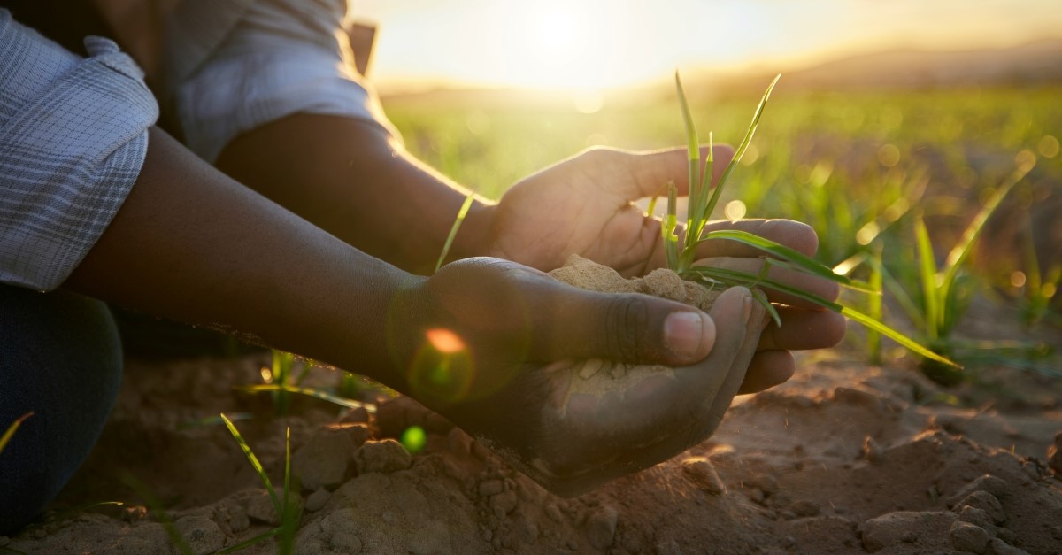 Finding Wisdom Through Humility - Crosswalk PLUS Video Devotional