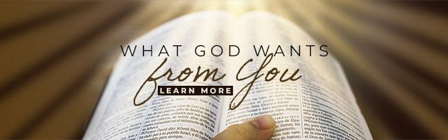 what god wants from you todays insight january 2024 banner