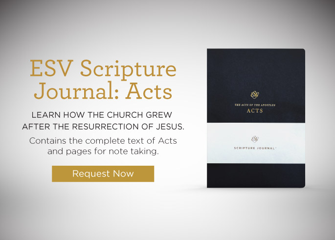 ESV Scripture Journal: Acts truth for life devo offer banner