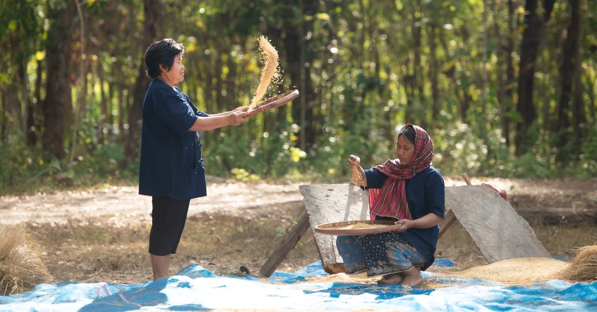 What Does the Bible Teach Us When It Talks about a Threshing Floor