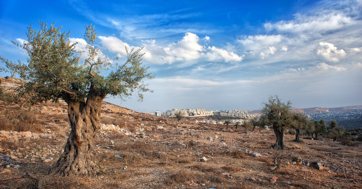 town of Bethlehem where jesus was born