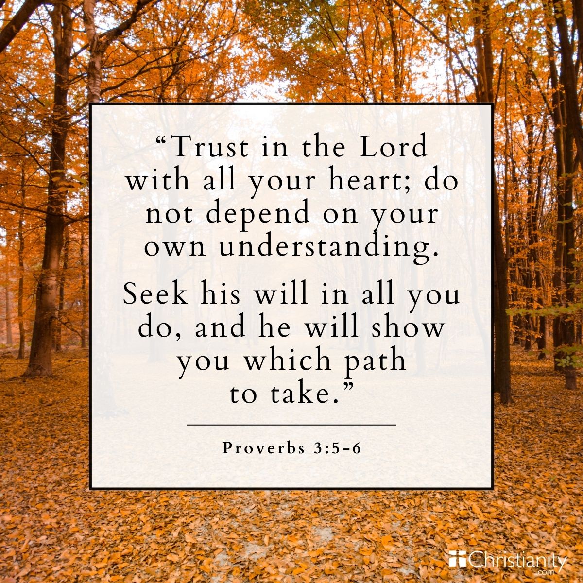 Proverbs 3:5-6