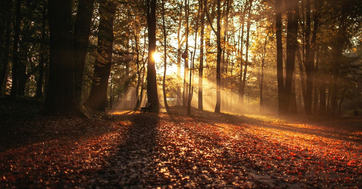 Psalm 23 Devotional on Hope in Hard Seasons
