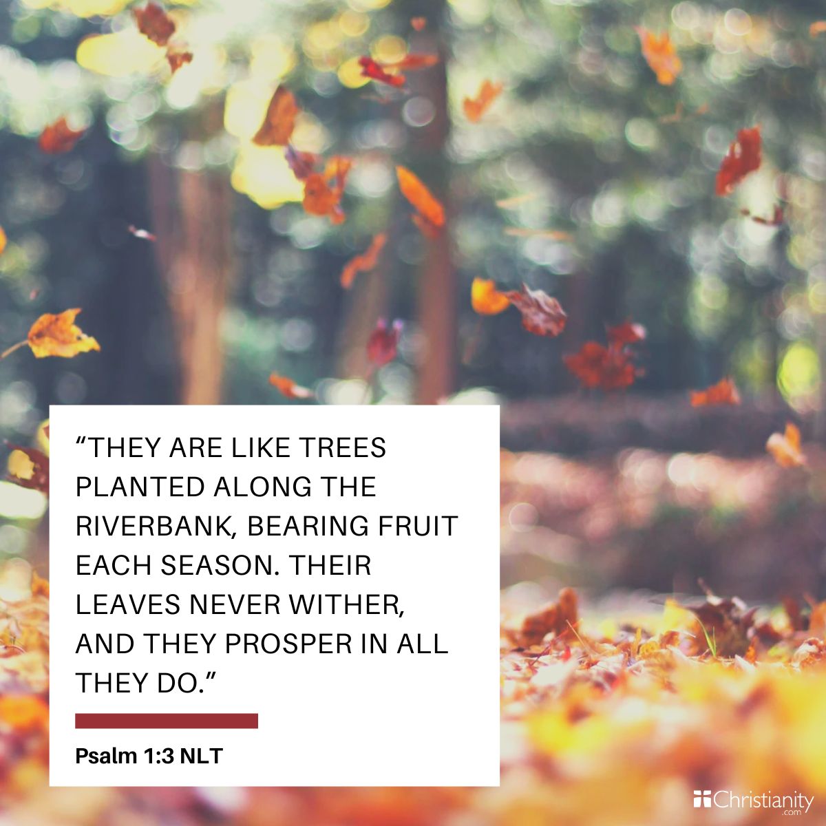 Psalm 1:3