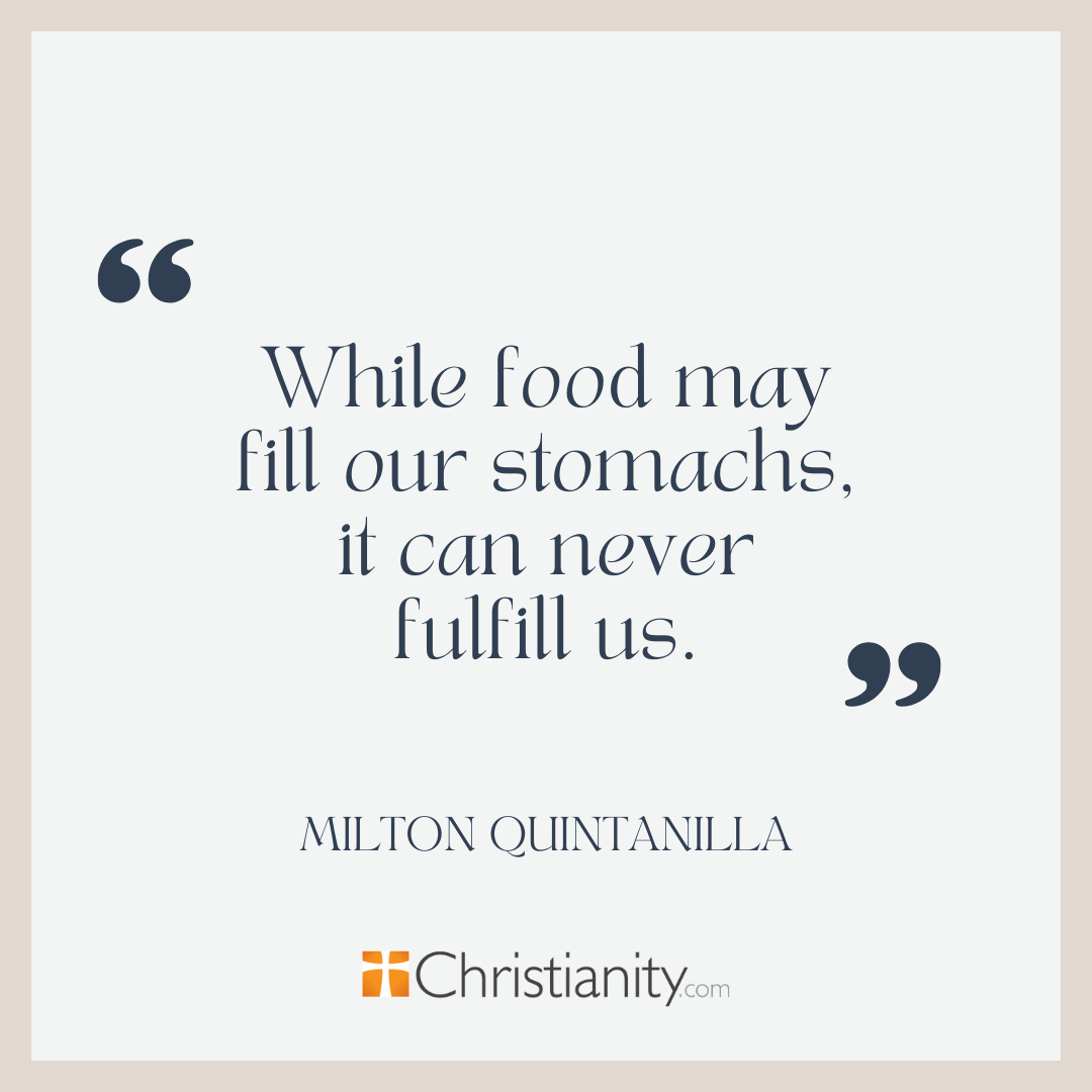 Quote about McDonalds snack wraps and spiritual cravings