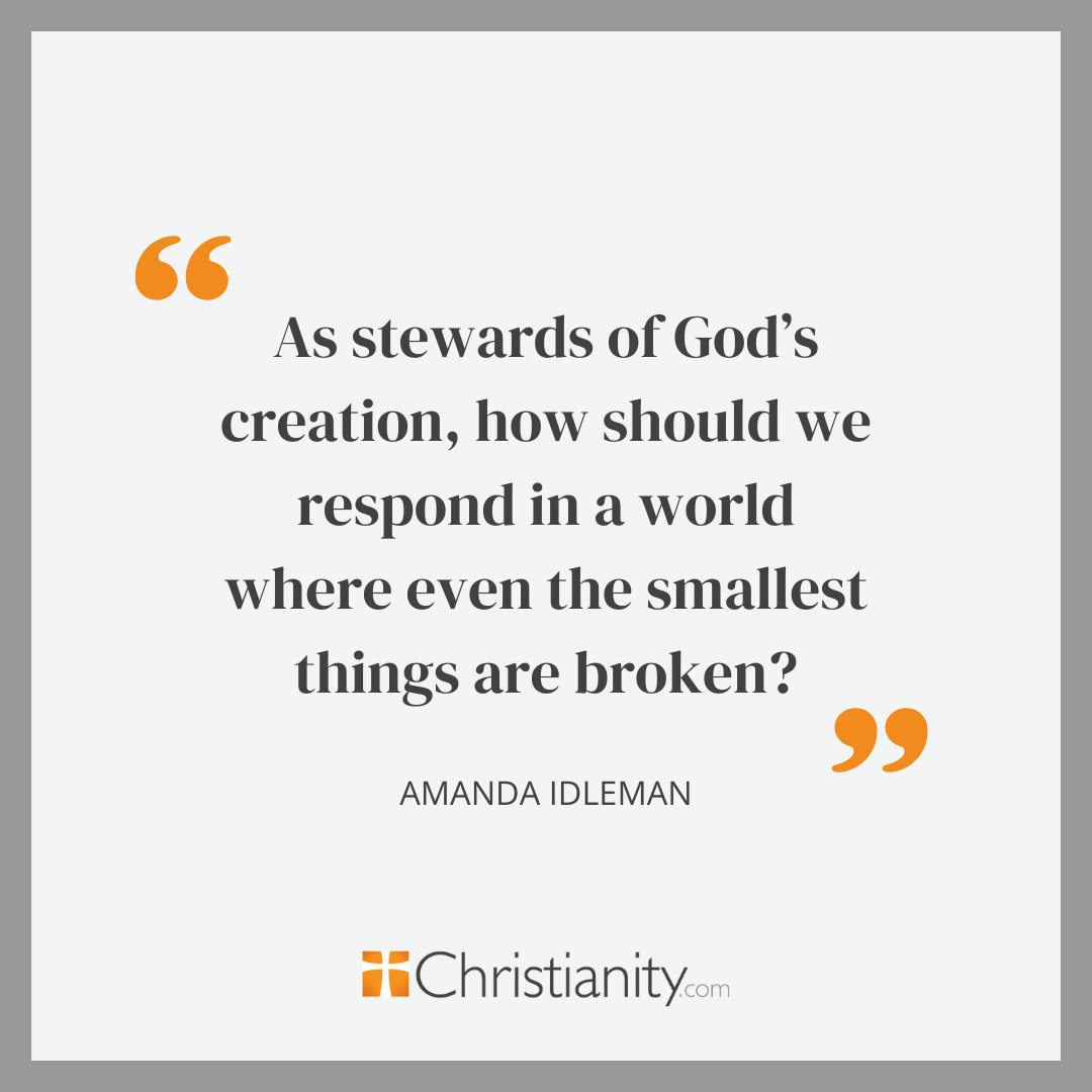 Quote from an article about microplastics