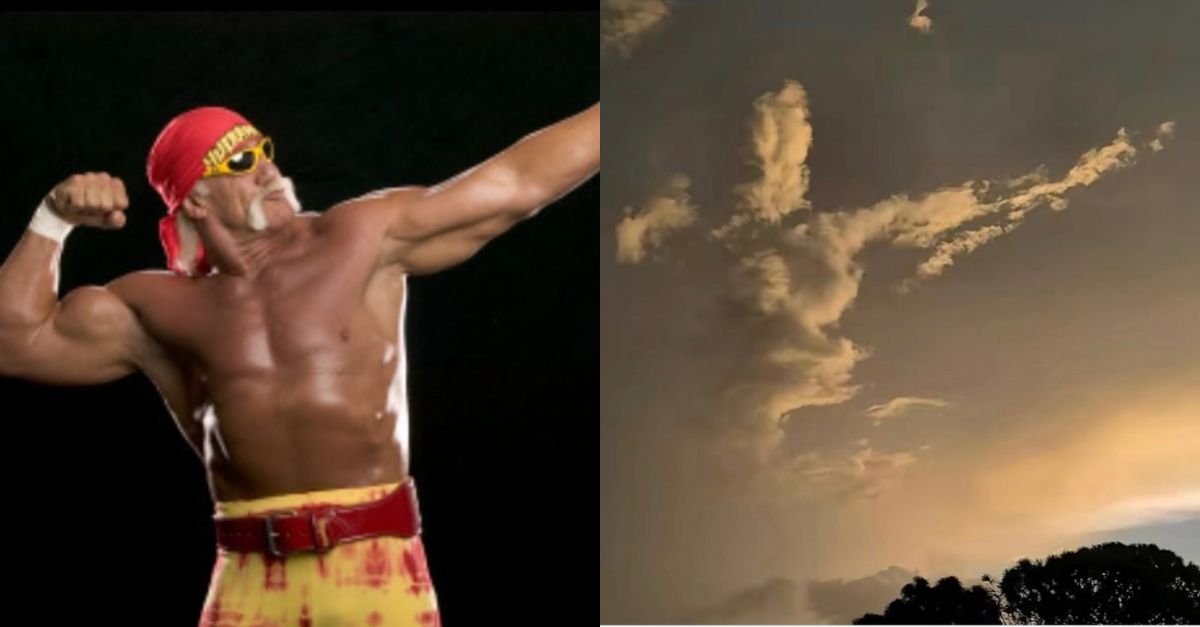 Fans See Hulk Hogan’...