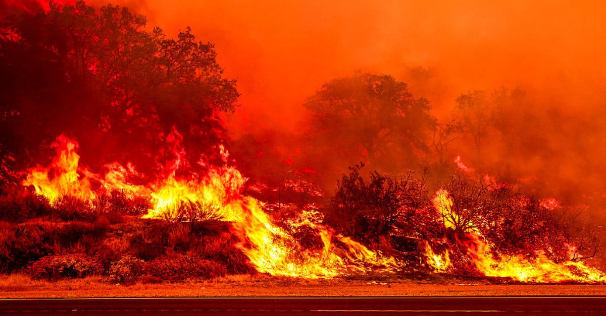 California Fires Bur...