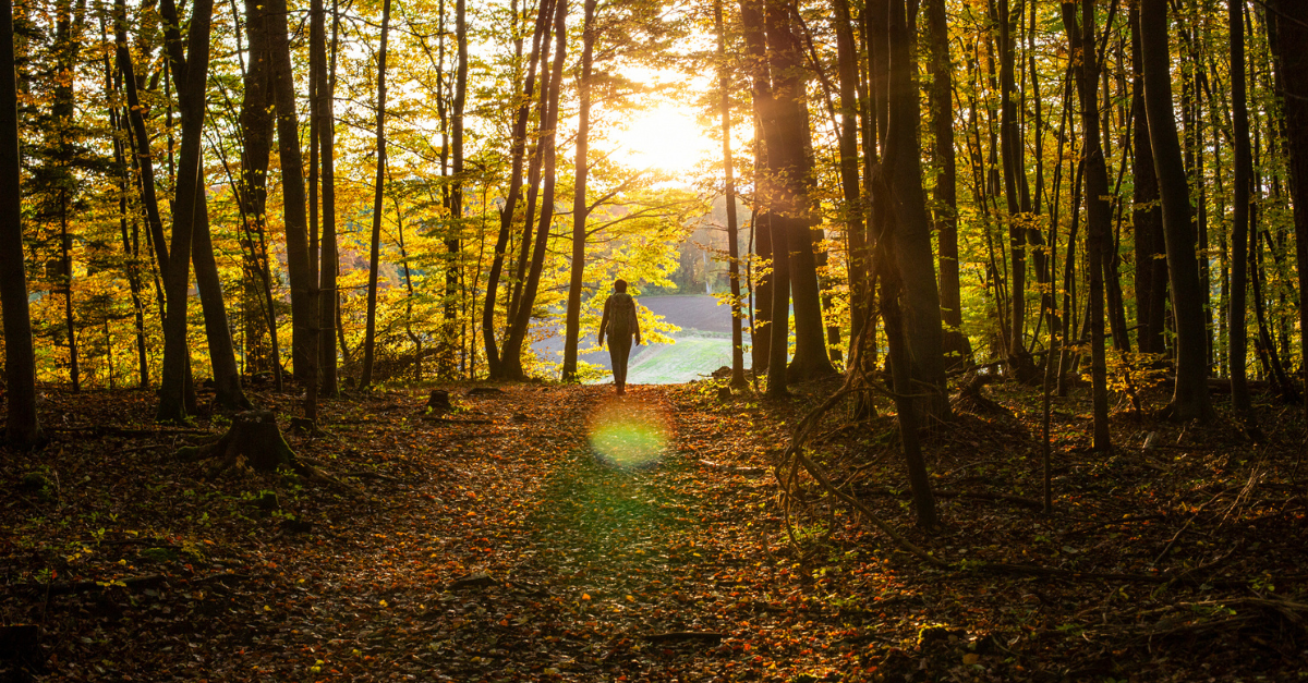 Obey, No Matter What - Greg Laurie Devotion - November 10, 2025