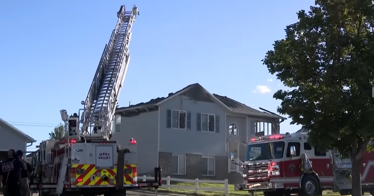 Teens Saw a House On Fire, Kick Down the Door, and Rescued Two Dogs