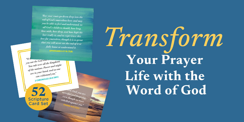 40 Days of Prayer Scripture Cards: Rick Warren