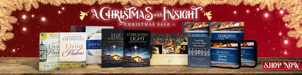 A Christmas with Insight Christmas sale