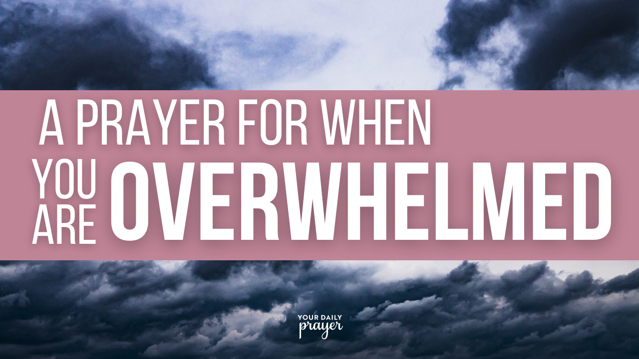 A Prayer for When You Are Overwhelmed by Suffering in the World | Your ...