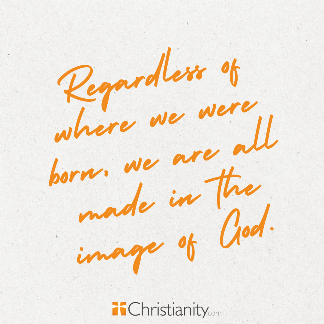 Quote from an article about immigration