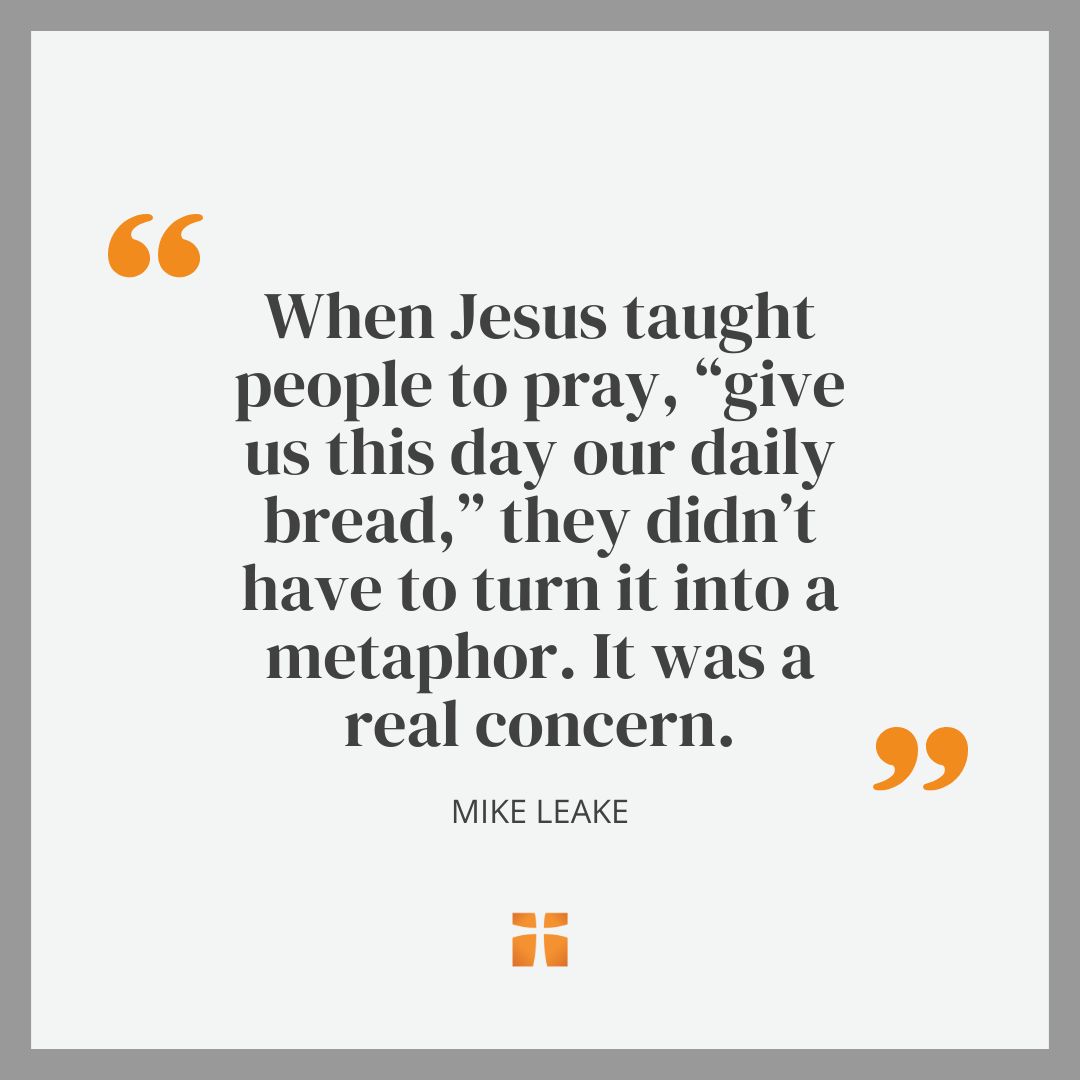 Quote from an article about food scarcity and understading Jesus words about worry