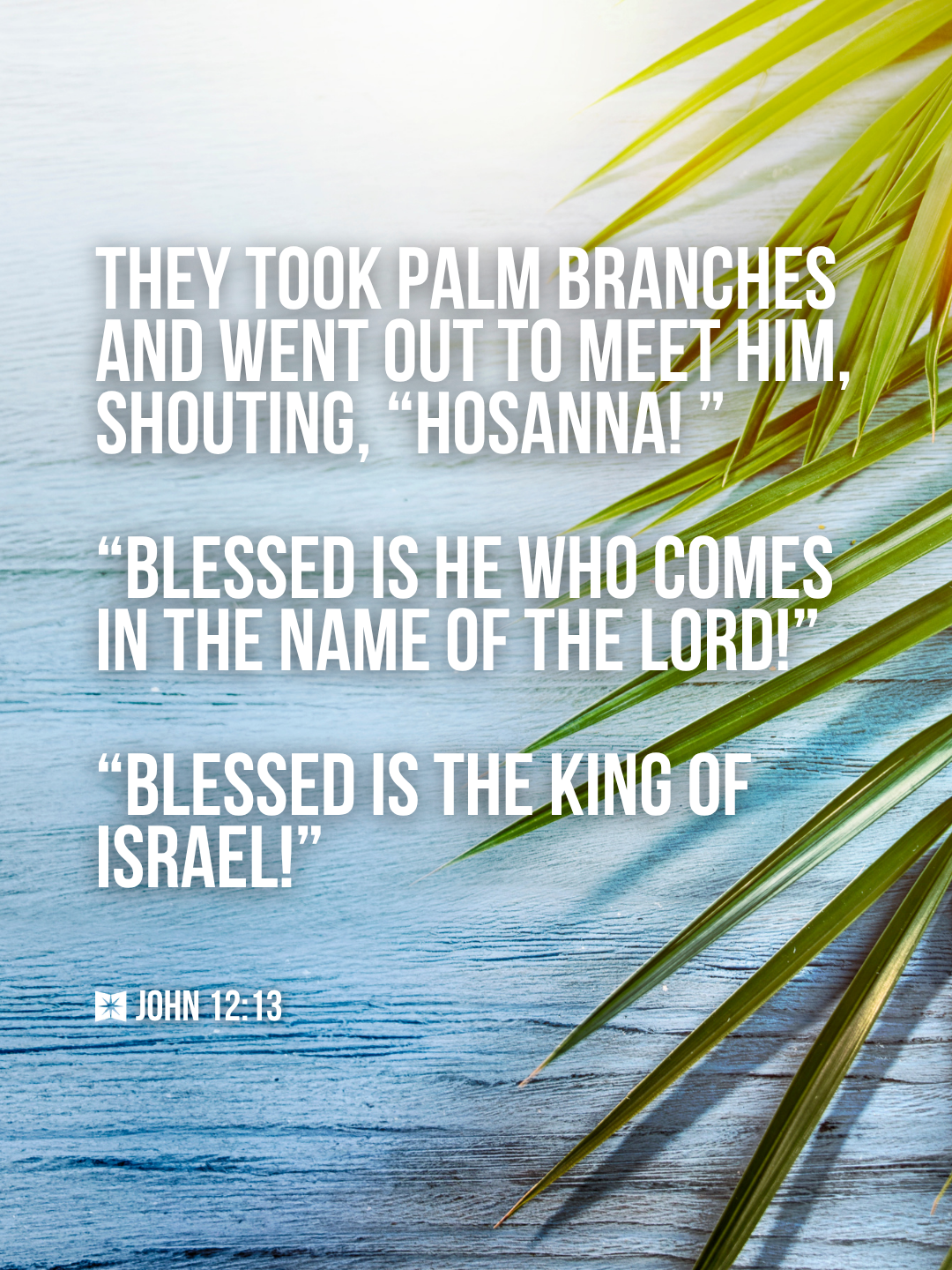 John 12 - ESV - Bible Study Tools | Bible Study Tools