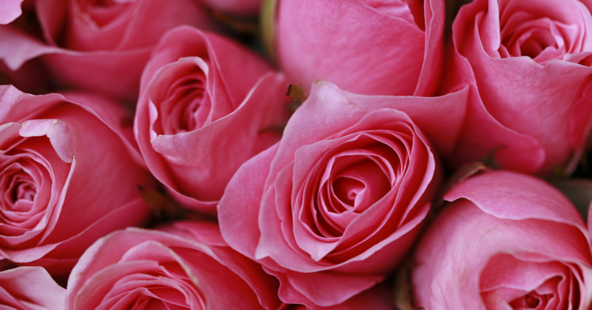 From College Romance to Friendship — and Back Again After One Life-Changing Moment