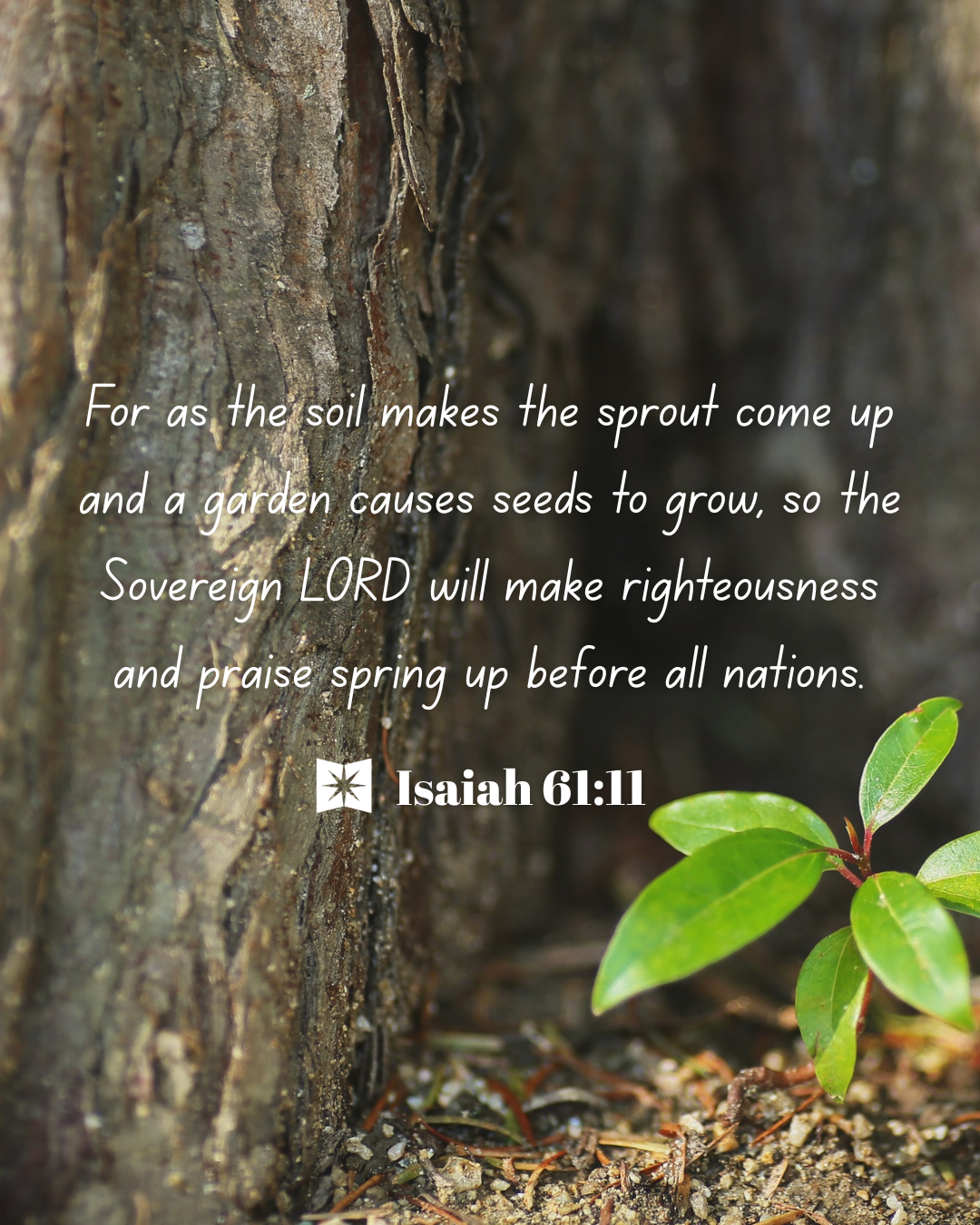 Isaiah 61:11 - For as the soil makes the sprout come up and a gar... |  Bible Study Tools