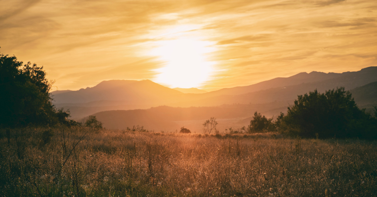 Praising God in Every Season