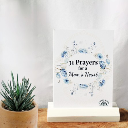 31 prayers for a moms heart scripture cards rachel wojo