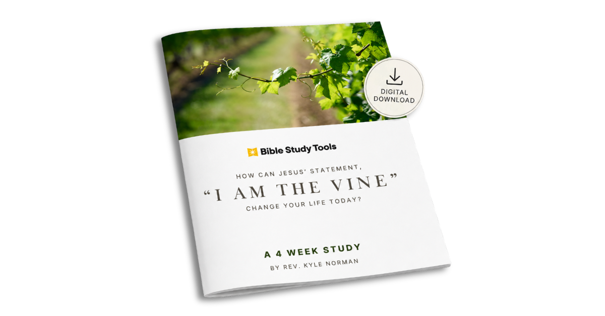 I am the Vine study
